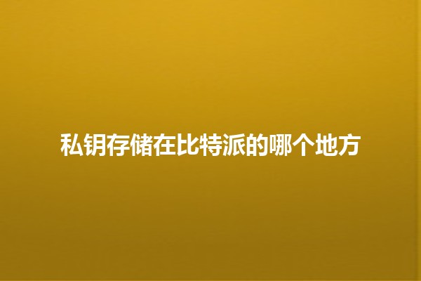 私钥存储在比特派的哪个地方🤔🔐