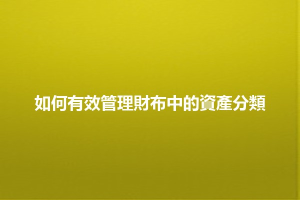 💼 如何有效管理財布中的資產分類 📊