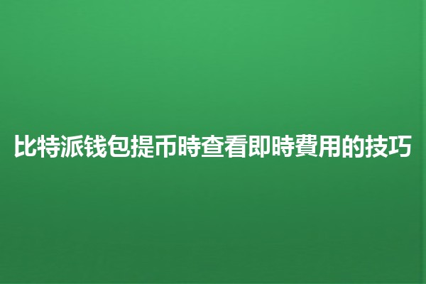 比特派钱包提币時查看即時費用的技巧💰🚀