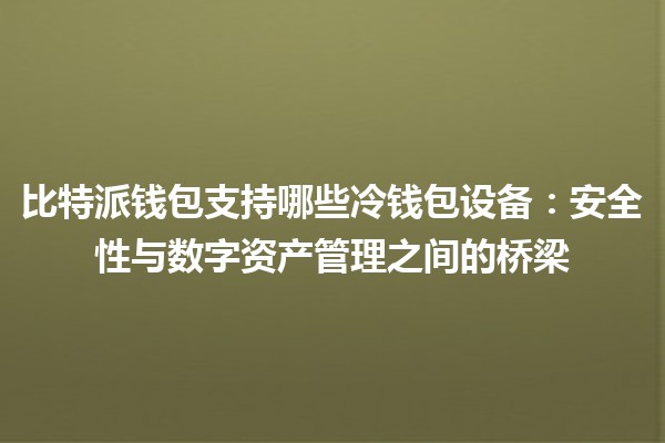比特派钱包支持哪些冷钱包设备：安全性与数字资产管理之间的桥梁