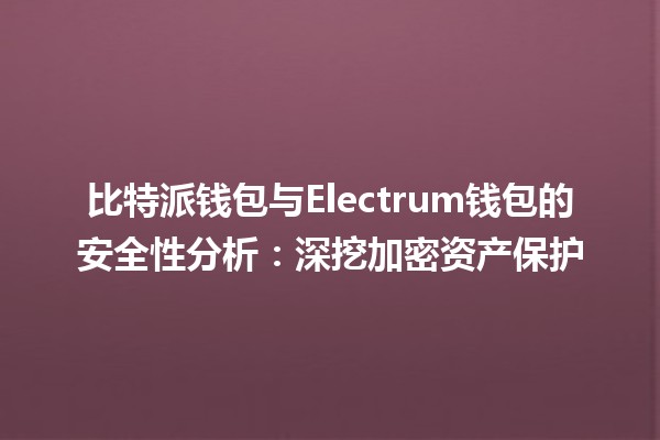 比特派钱包与Electrum钱包的安全性分析：深挖加密资产保护