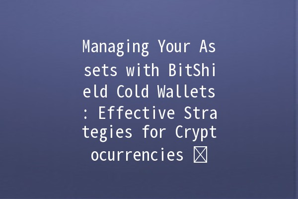 Managing Your Assets with BitShield Cold Wallets: Effective Strategies for Cryptocurrencies 💰🛡️