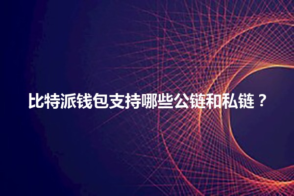 比特派钱包支持哪些公链和私链？💰🔗