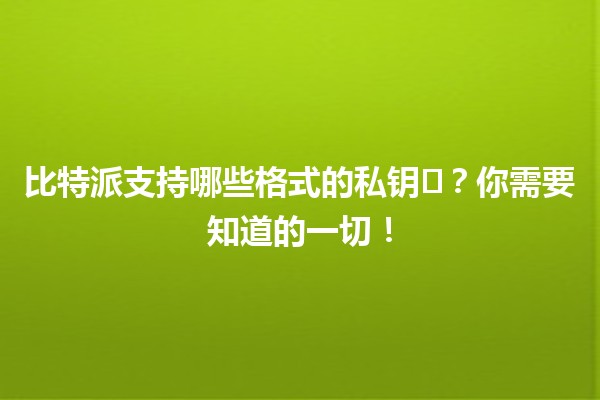 比特派支持哪些格式的私钥🗝️？你需要知道的一切！