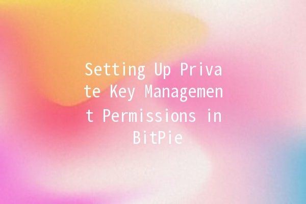 Setting Up Private Key Management Permissions in BitPie 🔑🚀