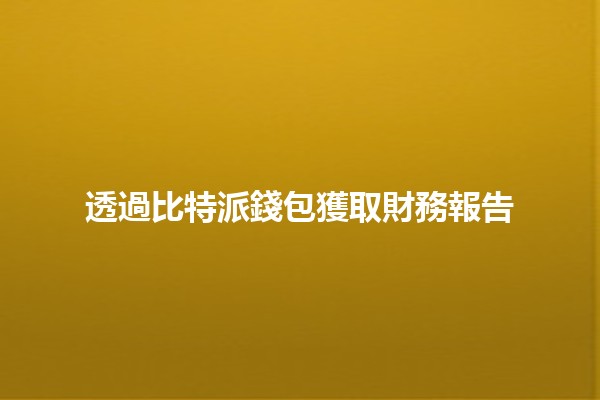 透過比特派錢包獲取財務報告 💰📊