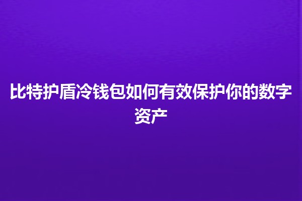 比特护盾冷钱包如何有效保护你的数字资产🔒💰